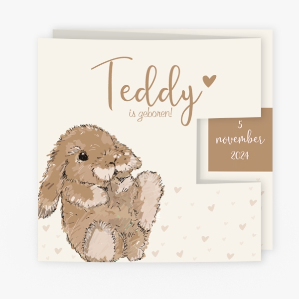 drieluik getekend konijntje Teddy