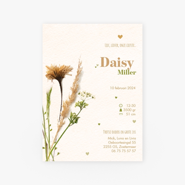 getekende droogbloemen kaart enkel Daisy