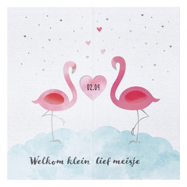 Hip geboortekaartje met sierlijke flamingo's en uitgesneden hartje