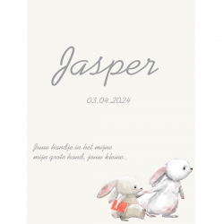 Geboorteproduct Posters - Poster 1 konijn broertje