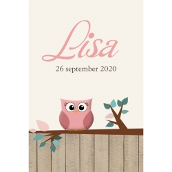 Poster 2 - Roze uiltje op houten schutting (Meisje)