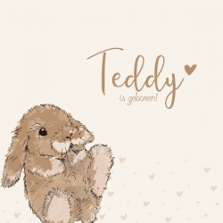 Geboorteproduct Posters - Poster 3 konijntje Teddy