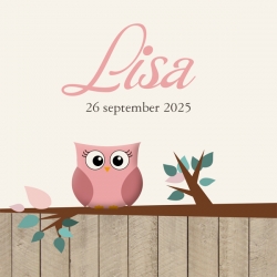 Poster 3 - Roze uiltje op houten schutting (Meisje)